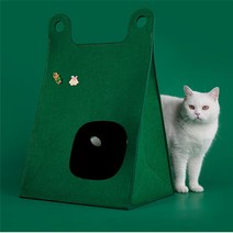 고양이 숨숨집 하우스 카츠펠트하우스 강아지집, 그린