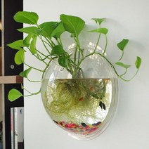 벽걸이어항 hang flower pot glass ball vase terrarium wall fish tank Aquarium container hanging glass, 15cm