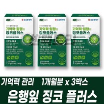 기억력 혈행 관리 은행잎추출물 징코플러스 건기식 B군 복합기능성 플라보놀배당체