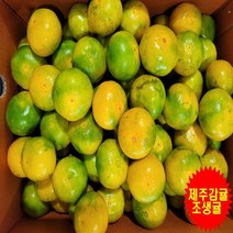 [프레시푸드마켓] 제주하우스감귤 조생귤 1.5KG 2.5KG 5KG 10KG, 만보네 1.5KG, 1개