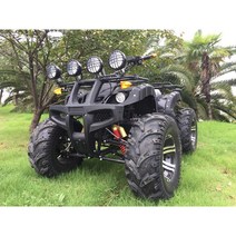 ATV 사륜바이크 전동 불스 AT 사륜 오프로드 오토바이 광장 노인용 스쿠터 대여, 송아지 패키지8