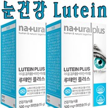 온가족 종합눈건강 대용량 루테인 마리골드꽃추출물 비타민A 비타민E 비타민B6 비타민B12 뉴테인 아연 엽산망간 구리 류테인 30캡슐 2박스, 2개(120캡슐/4개월분), 60캡슐