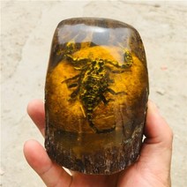홈 인테리어 10cm 천연 호박 밀랍 원시 돌 곤충 전시 전갈. 나비. 매미. 잠자리, 투석기
