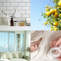 캔들마노 [ 100ml ] 프래그런스오일 500여가지 (201~400) 캔들향 디퓨저향 석고방향제향 향기오일, 254. 잉글리쉬페어프리지아