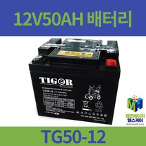 12V50AH 전동휠체어배터리 전동스쿠터배터리 대세엠케어 케어라인 전동차배터리 TG50-12