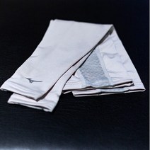 미즈노골프 AK평택 미즈노골프 태양열컷암가드 52JY0001GA, L