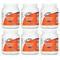 NOW Sunflower Lecithin Powder 나우 선플라워 레시틴 퓨어 파우더 454g 1팩, 6팩