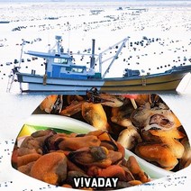 DHD 건홍합 20kg 국산, 카우보이덤프맨 1, 상세페이지 참조