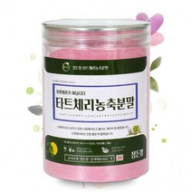 미국산 타트체리 농축분말 300g 1개 밀폐용기, 단품, 단품