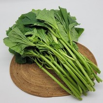 아욱 4kg 국내산 생 아욱 된장국 나물 판매 진맛깔, 1개