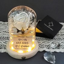 먼로장미 유리돔 무드등 여자친구 생일축하 프로포즈 기념일 커플 선물, 없음