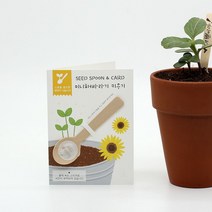 파라솔-씨드스푼 해바라기 애완 식물 씨앗 반려 식목일 키우기 틔움 묘정, 본상품선택