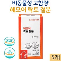 닥터루템 헤모어 락토 철분 임산부 비동물성 비헴철 철분제 사은품 증정, 5개, 60정