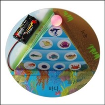 MDG9411 대형 LED 먹이사슬 피라미드 만들기 (1인용) 만들기학습/만들기/만들기놀이/역할놀이