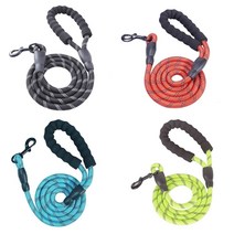 이지펫 Strong Dog Leash 강아지 리드줄, 민트