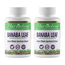 고약사바나바잎 바나나잎추출물 파라다이스허브 Banaba Leaf 180정, 2개