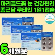 60대 루테인 로테인 뉴테인 눈에 좋은 영양제 시력 보호 눈 피곤 건강 보조제 시니어 안구 금잔화 메리골드 꽃 추출물 할머니 할아버지 부모님 선물 빌베리 헤마토코쿠스 비타민A 침침, 3박스(6개월분)
