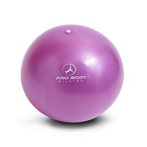 ProBody Pilates 소형 운동 공 22.9cm(9인치) 벤더 볼 미니 소프트 요가 볼 안정성 바 피트니스 복근 코어 물리 및 물리 치료 볼 홈 체육관 및 사, Purple