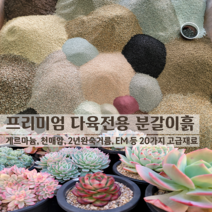 [다육이전용흙] SN월드 다육이전용 분갈이흙 5L, 1개