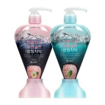 [내일도착] 히말라야핑크솔트 펌핑 치약 285g 2개, 아이스카밍민트