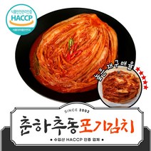 l 품담식품관 l 춘하추동김치 수입산 4종 아이스박스선택, 10kg, 1박스, 아이스박스(2000원) x 포기김치
