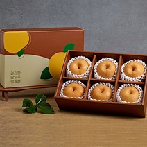 남양주 먹골배 선물세트 5kg, 프리미엄 남양주 먹골배 6개입 세트