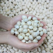 은행팜 재래종 피은행 2kg 5kg