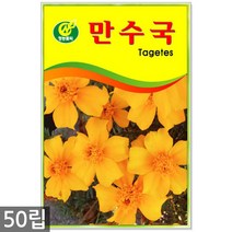 강낭콩 2g - 콩 씨 씨앗 강낭콩씨앗 강남콩씨앗 강낭콩씨, 08_청농_만수국(50립)