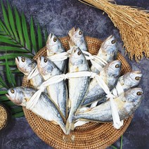 팜투테이블24 / 영광 법성포 부세 보리굴비 선물세트 모음, 2-4 보리굴비 10마리 30cm내외 가방