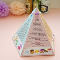 5대 영양소북, 5세트(일괄포장)