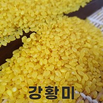 강황밥 가성비 좋은 제품 중 판매량 1위 상품 소개