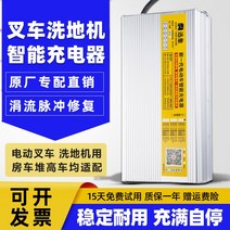 지게차 충전기 전동 바닥 세탁기 스태커 리프트 12V24V15A20A 관광 자동차 배터리, 32.24V20A 액체 충전 배터리 악어 클립 플러그