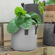 부직포화분 블루베리 숨쉬는 가벼운 텃밭용 가드닝 2p세트(30x25cm) 뿌리야채 화분