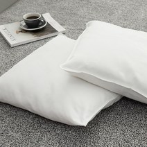 2장세트 사각 방석솜 50x50 국내생산, 방석솜(2장)