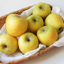 산지직송 사과 경북 시나노골드 스위트 황금사과, 1개, 골드 가정용-중과 2kg(07-09)