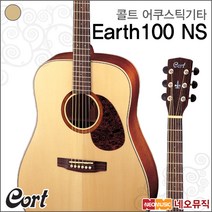콜트 Earth-100, 콜트 EARTH100/NS