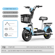 미니 전기자전거 어르신 마실용 전기 팻 바이크 휴대용 경량 두꺼운 휠 뒷좌석 충전식, 12아, C