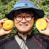 삿갓유통 고당도 태추단감 창녕 배단감, 1박스, 2kg