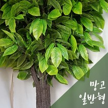 망고 나무 일반형 인조나무 조화 인테리어 소품 아트몰