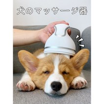 애견 강아지 고양이 마사지기 마사지 안마기 A28