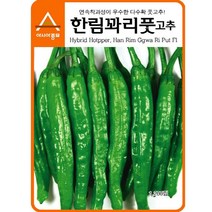 아시아종묘 한림 꽈리풋고추 씨앗종자 고추씨 풋고추씨 고추종자 꽈리풋고추씨앗, 700개