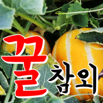 [성주참외] 진짜~성주꿀참외 2kg 산지직송, 1박스, 04.성주참외 2kg 가정용 중과
