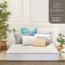 클라르하임 쿨포터 시원한 냉감패드 Q