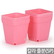 플라스틱 사각 포트 블루 5P - 미니화분 다육이 화분 연결 이색 플분 미니사각 화분컵 모종 연결구 망포트 매쉬포트 재배