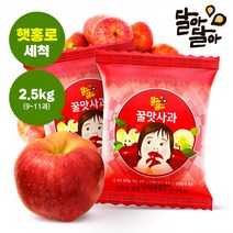 달아달아 꿀맛사과 세척 홍로 사과 당도선별, 2.5kg (9-11과)