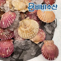 경희직배) 국내산 활 홍가리비 1kg, 경희직배) 국내산 활 홍가리비 2kg