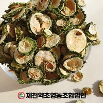 국산 무농약 말린 여주 500g 제천약초영농조합, 1개