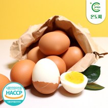 [온도씨] 하루한알 촉촉한 반숙란 두판 30구+30구 총 60구 (대란)