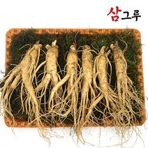 금산인삼 5년근 6년근 수삼 난발삼 원수삼 세척무료 750g 1채, 세척-난발 대 750g 6-8뿌리