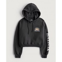 Hollister 홀리스터 Crop Print Logo Hoodie